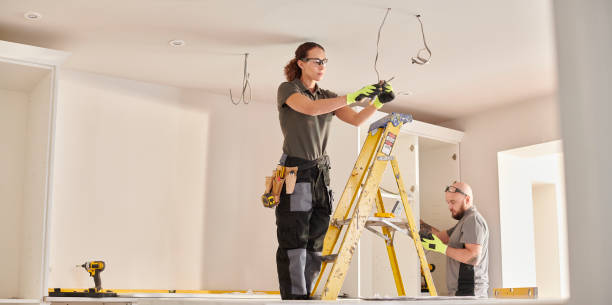 Best Electric Panel Repair  in Forney, TX
